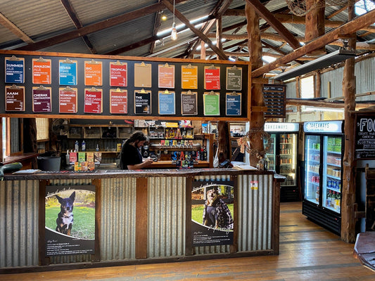 Top Watersports Destinations Along South Australia’s River Murray